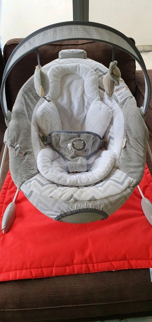 baby bjorn bouncer automatic